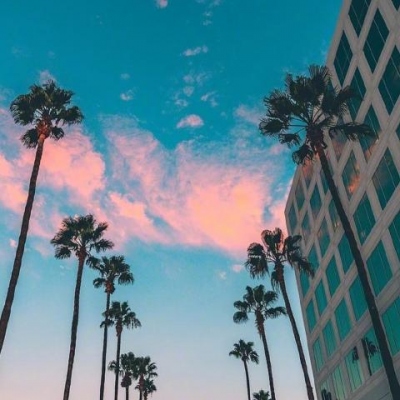 拿不動刀的叉子