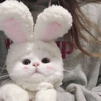 一周第七喜歡的星期一