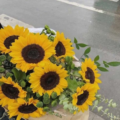 不快樂的小丸子