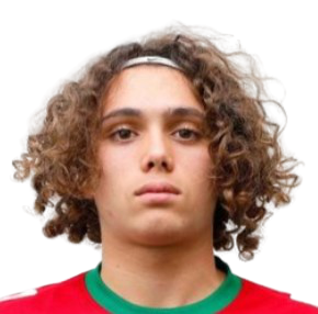 貢卡洛·埃斯特維斯